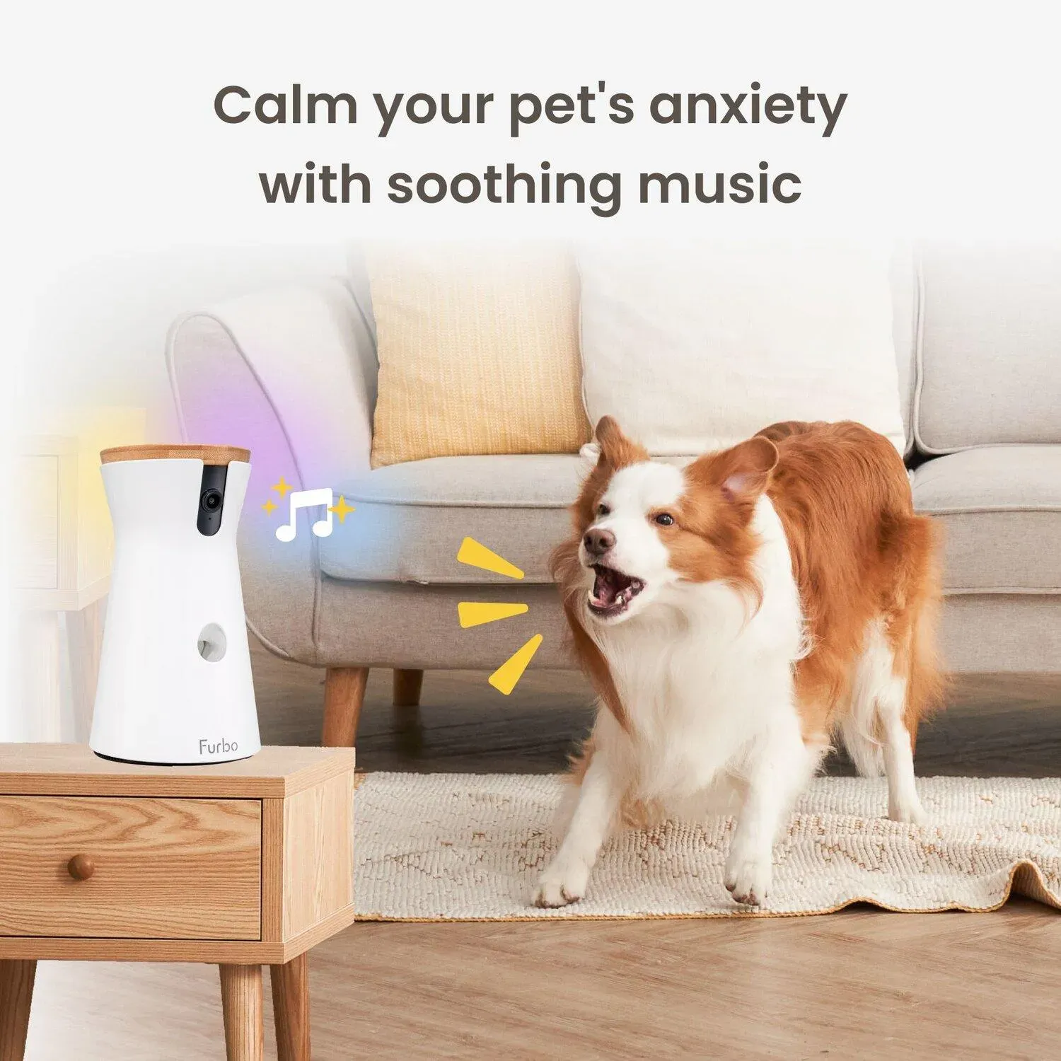 Furbo 360° product photo