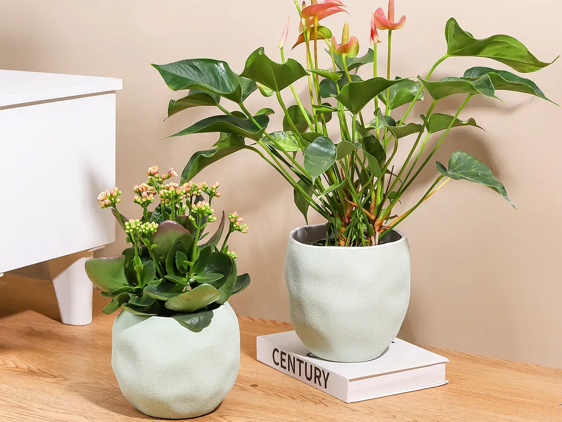 Plantatorem Hand-crafted Ceramic Planters product photo