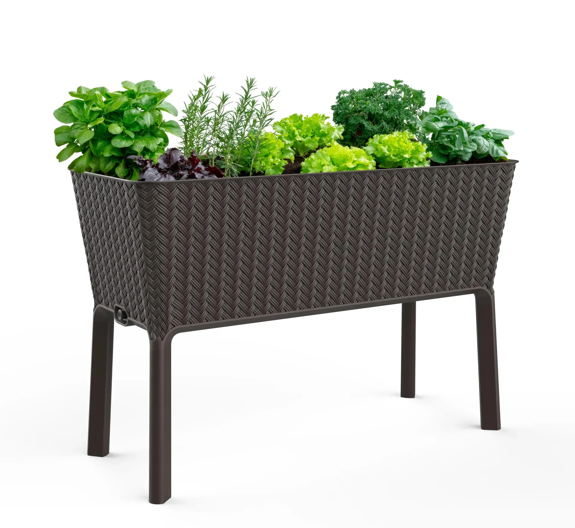 Keter Splendor Self-Watering Raised Garden Bed product photo