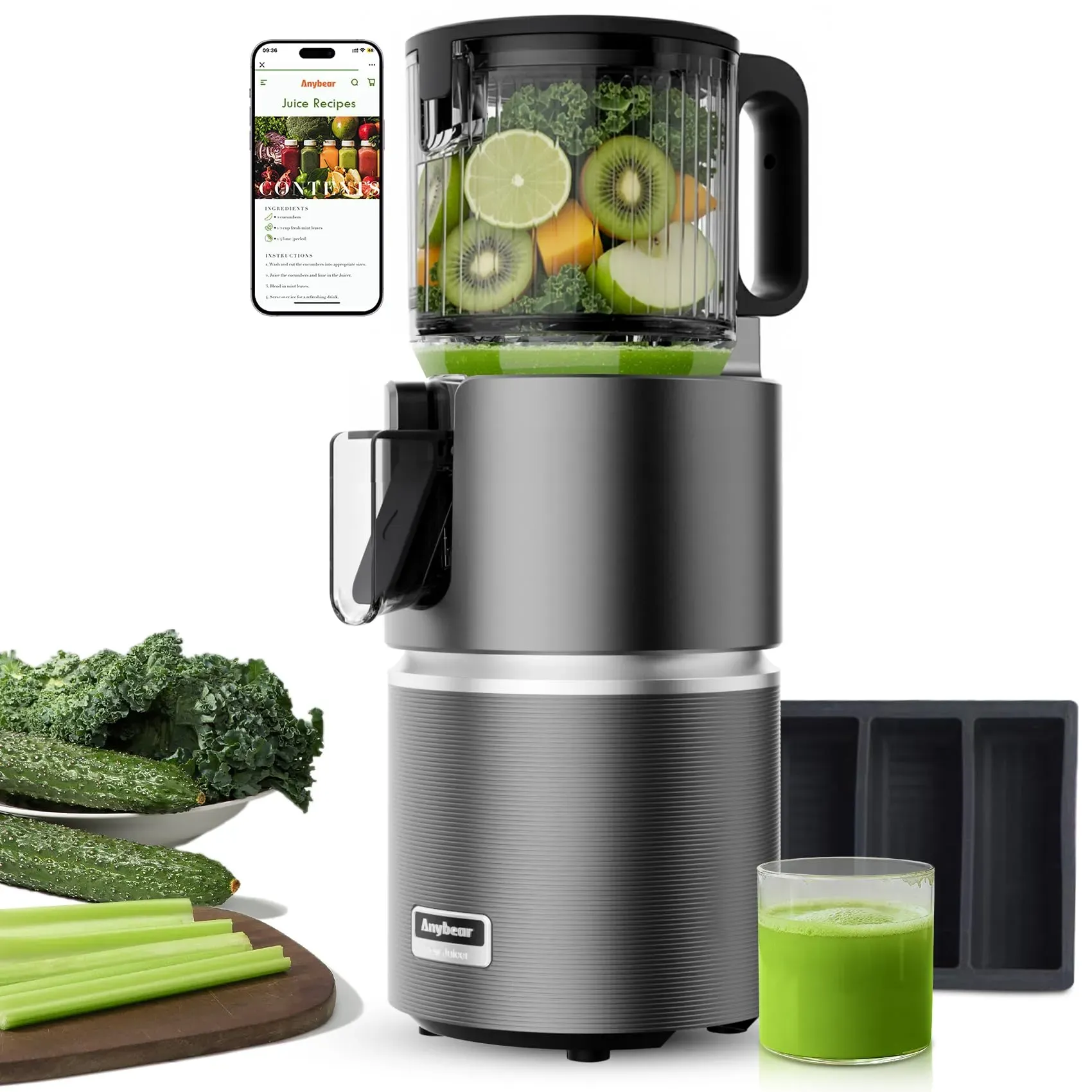 Anybear Cold Press Juicer with 4.9 inch wide feed chute