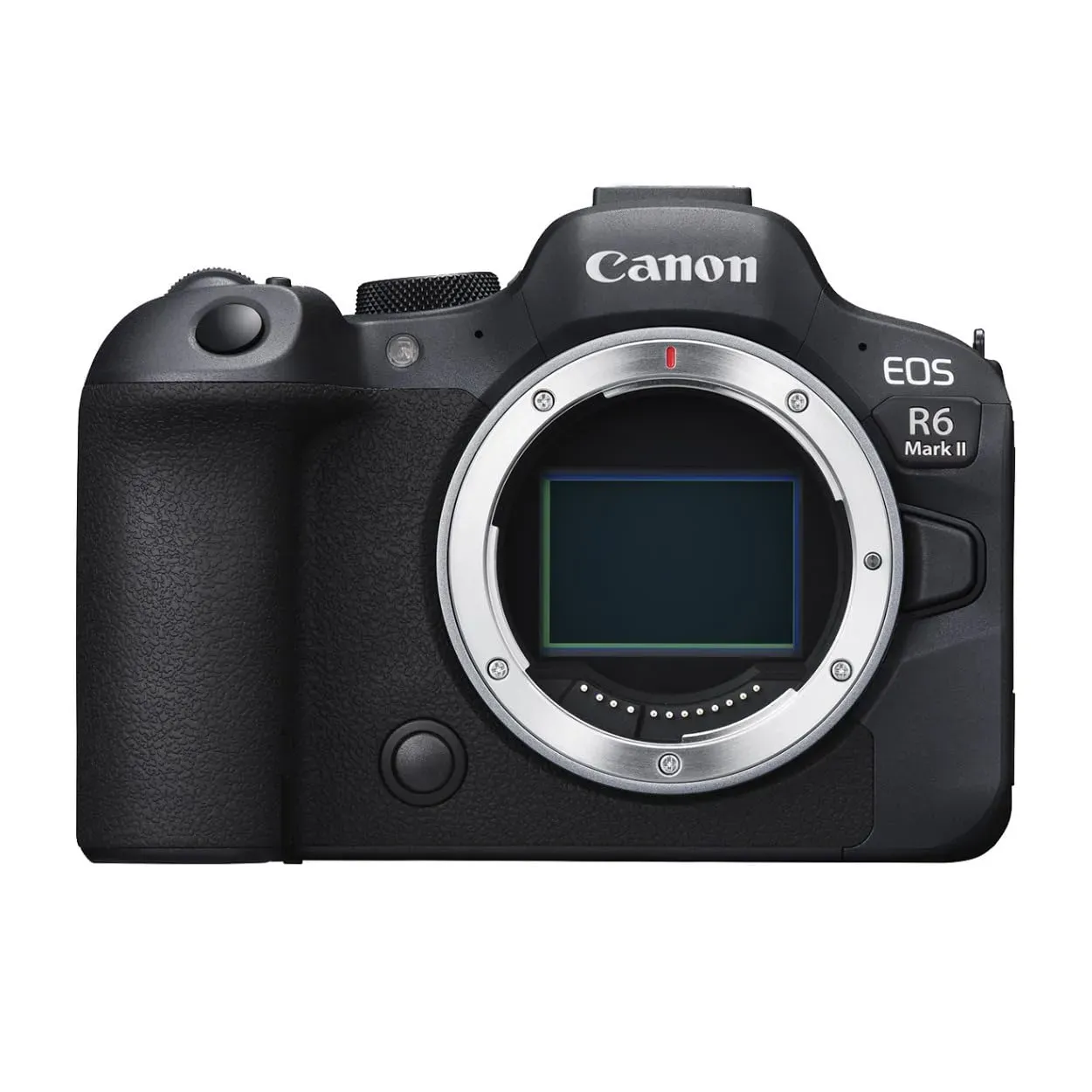 Canon EOS R6 Mark II Mirrorless Camera Body on display