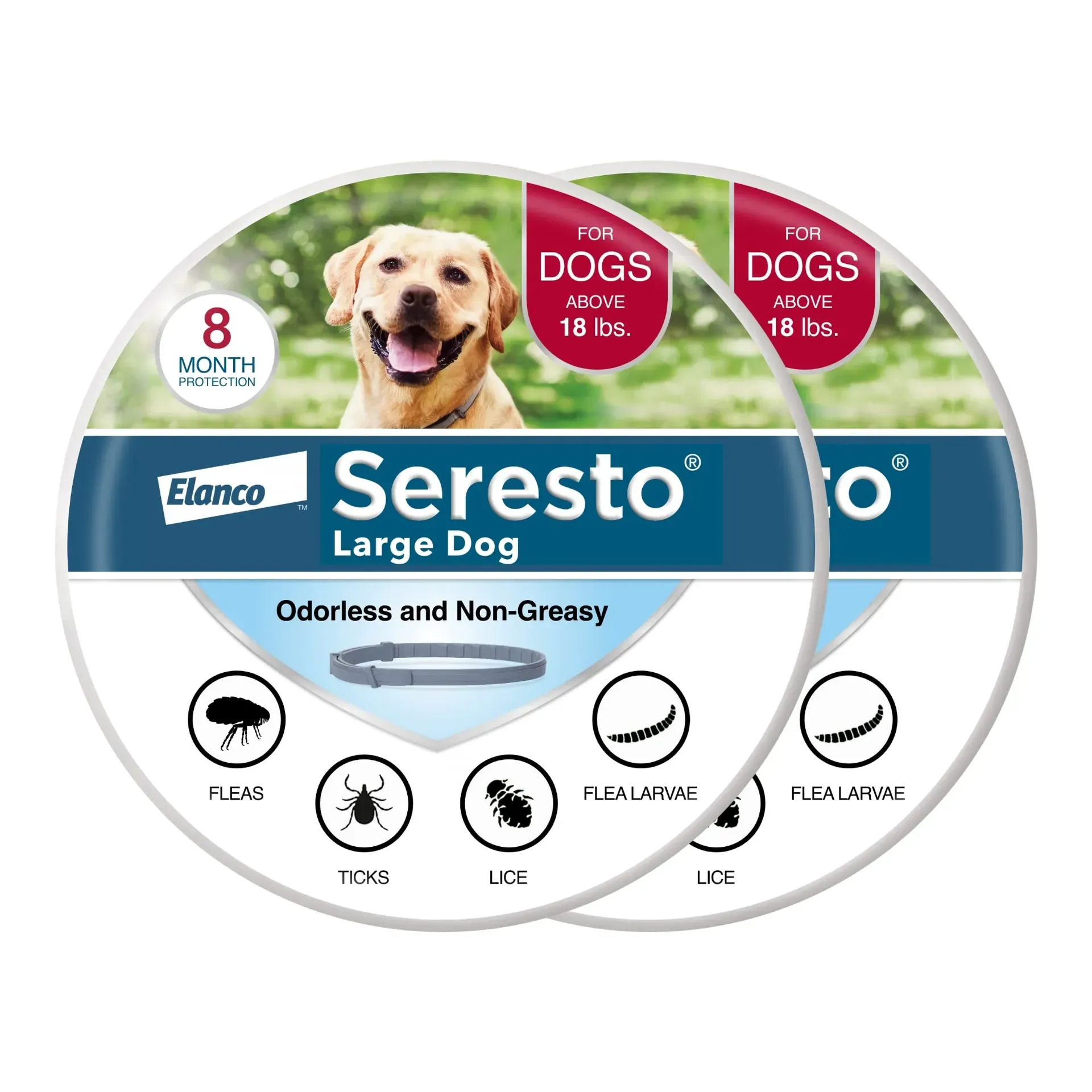 Seresto Flea and Tick Collar for Large Dogs on dog neck