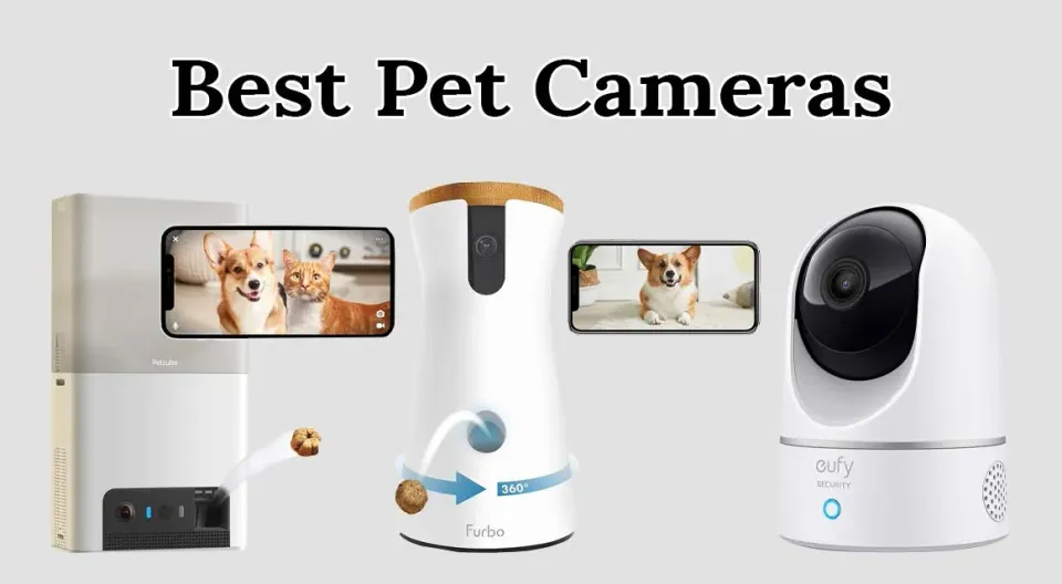 Top 10 Hidden Gems Pet Cameras (2026) | Best Under-the-Radar Finds