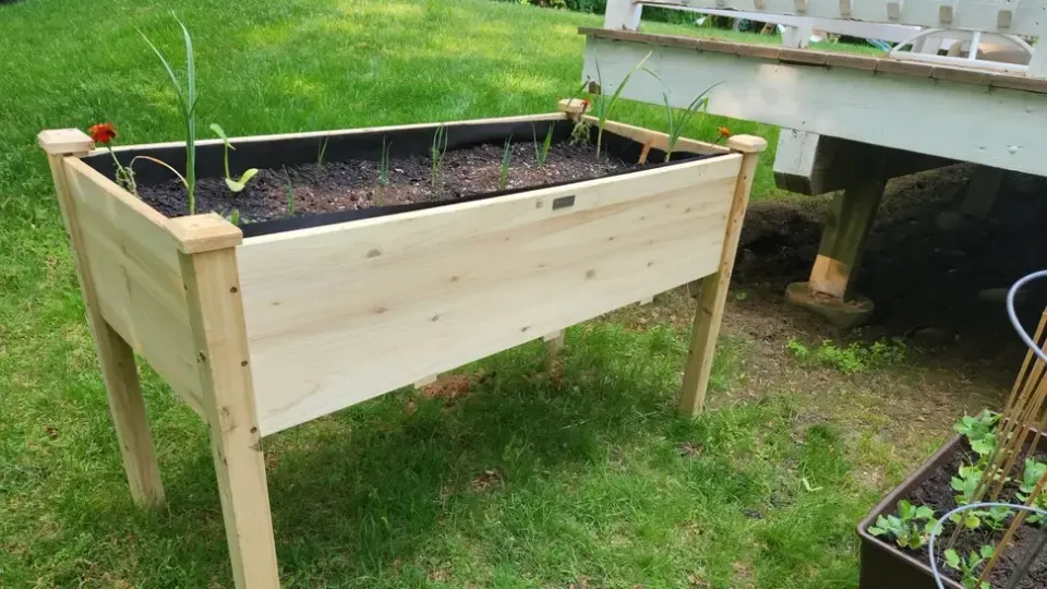 Top 10 Best-Selling Raised Garden Beds of 2026