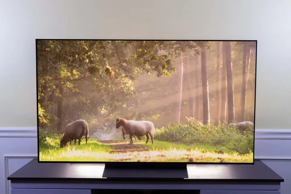 Top 10 Premium OLED TVs of 2026: Expert Picks